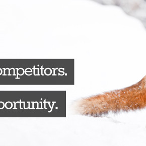 Software Developer Ruby on Rails // rivalfox Software Developer Ruby on Rails // rivalfox