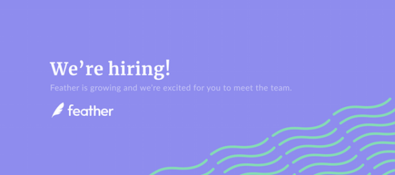 User Researcher // Feather
